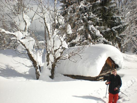 Appartment Laerchenalm Sankt Martin am Tennengebirge Εξωτερικό φωτογραφία