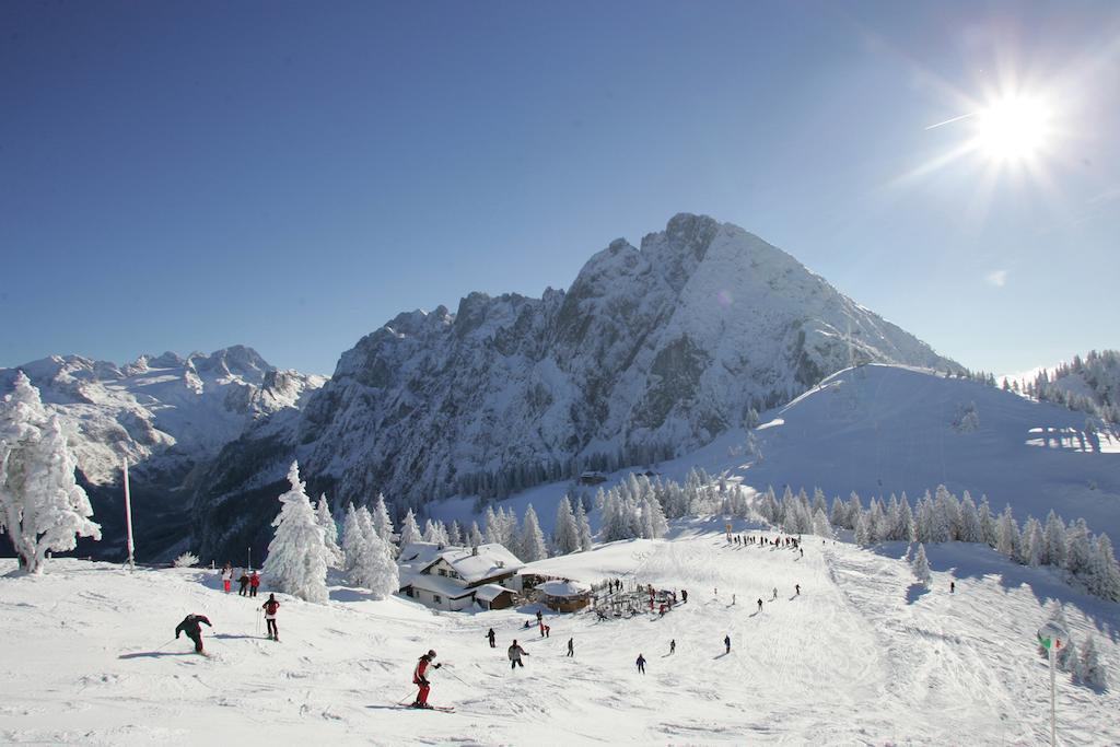 Appartment Laerchenalm Sankt Martin am Tennengebirge Εξωτερικό φωτογραφία